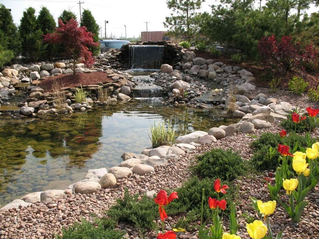 Hilton Garden Inn Buffalo Airport Чіктоваґа Екстер'єр фото